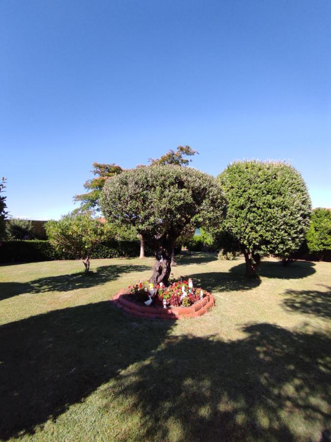 Pension Casa Carmela А-Лансада Экстерьер фото